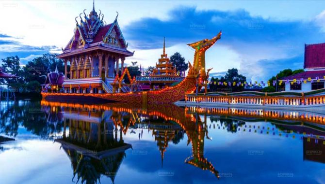 تور پاتایا - رسپینا 24